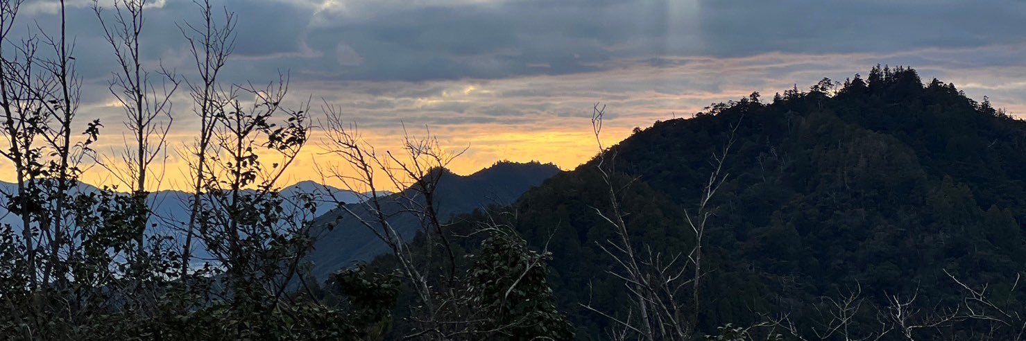 ryusei424's profile banner image