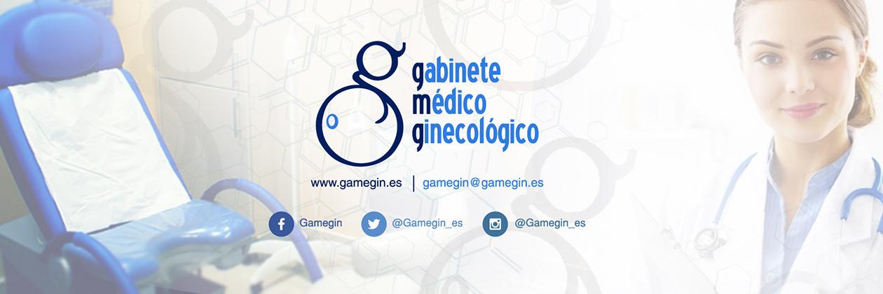 Gamegin_es's profile banner image