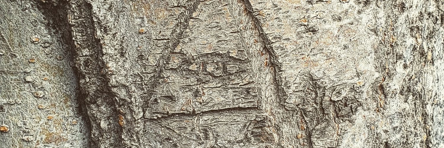charly_jacko's profile banner image