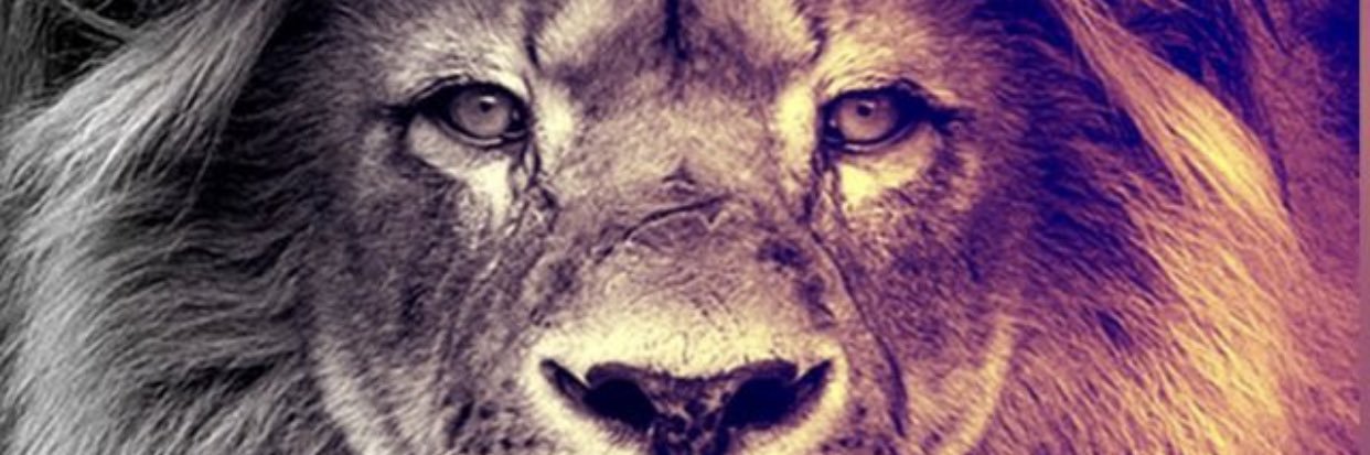 paganedwin's profile banner image
