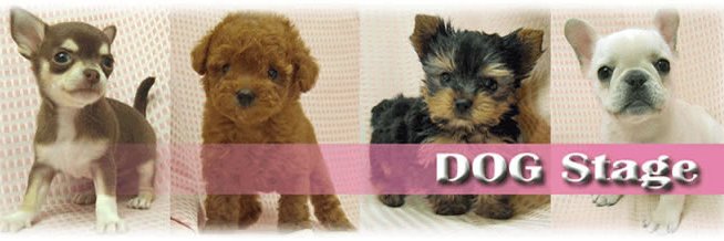 dogstage1's profile banner image