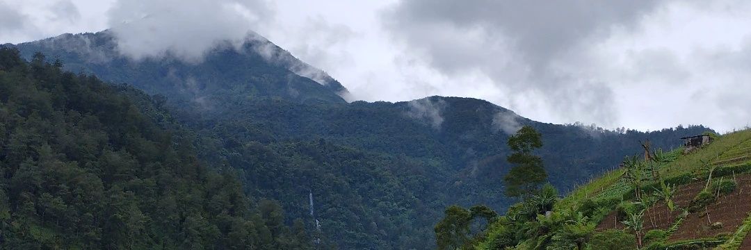 meitsdew's profile banner image
