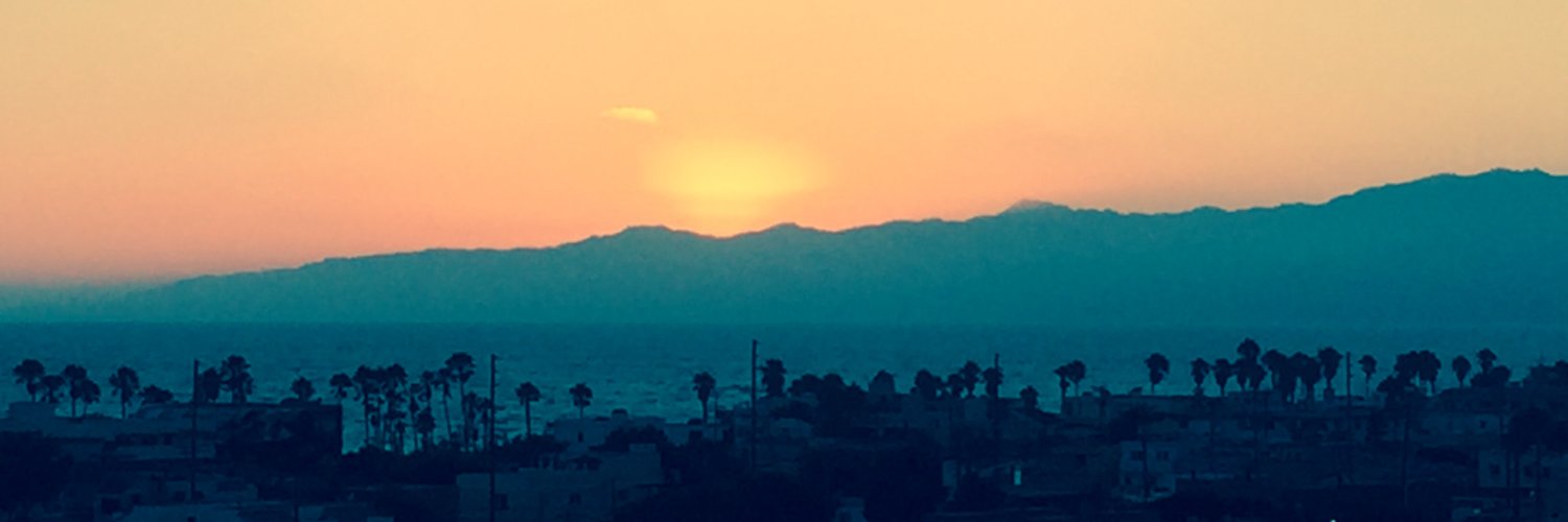 Don't Tread On Me banner