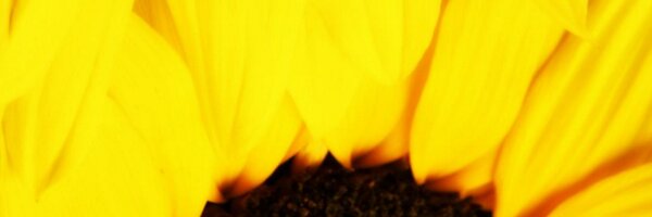 PrimeSolarMalta Profile Banner