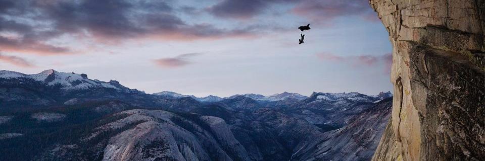 Ripp462's profile banner image