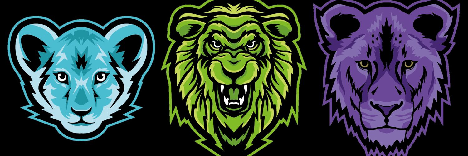 Lionsihc's profile banner image