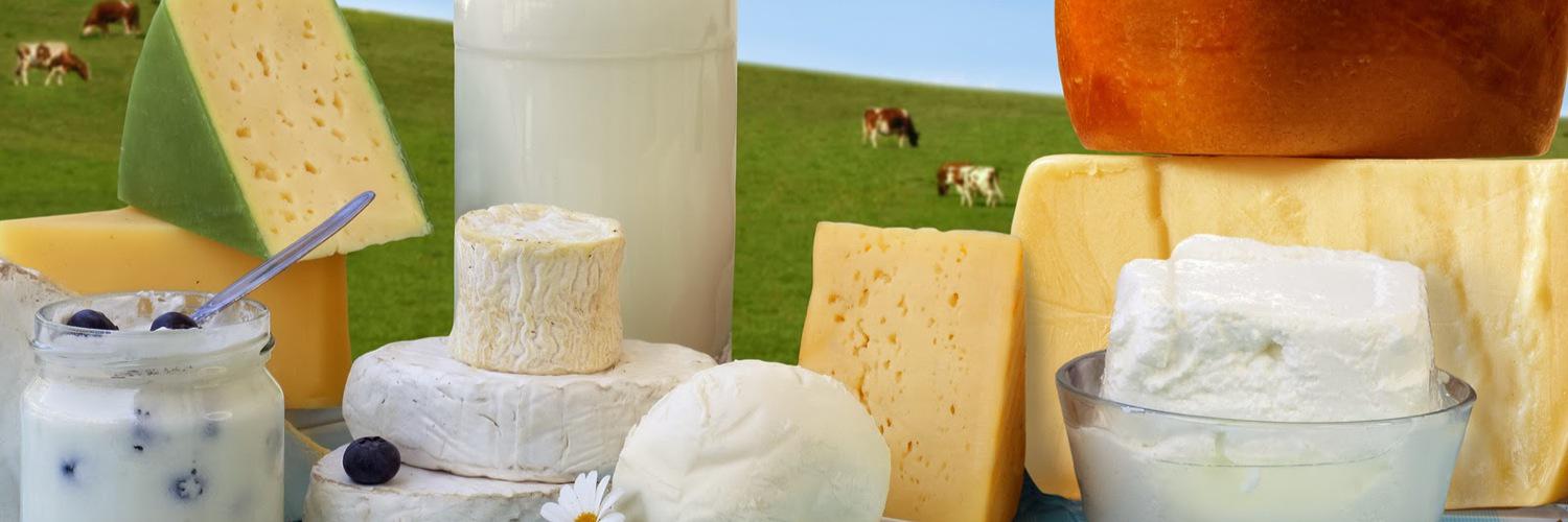 BcdpDairy's profile banner image