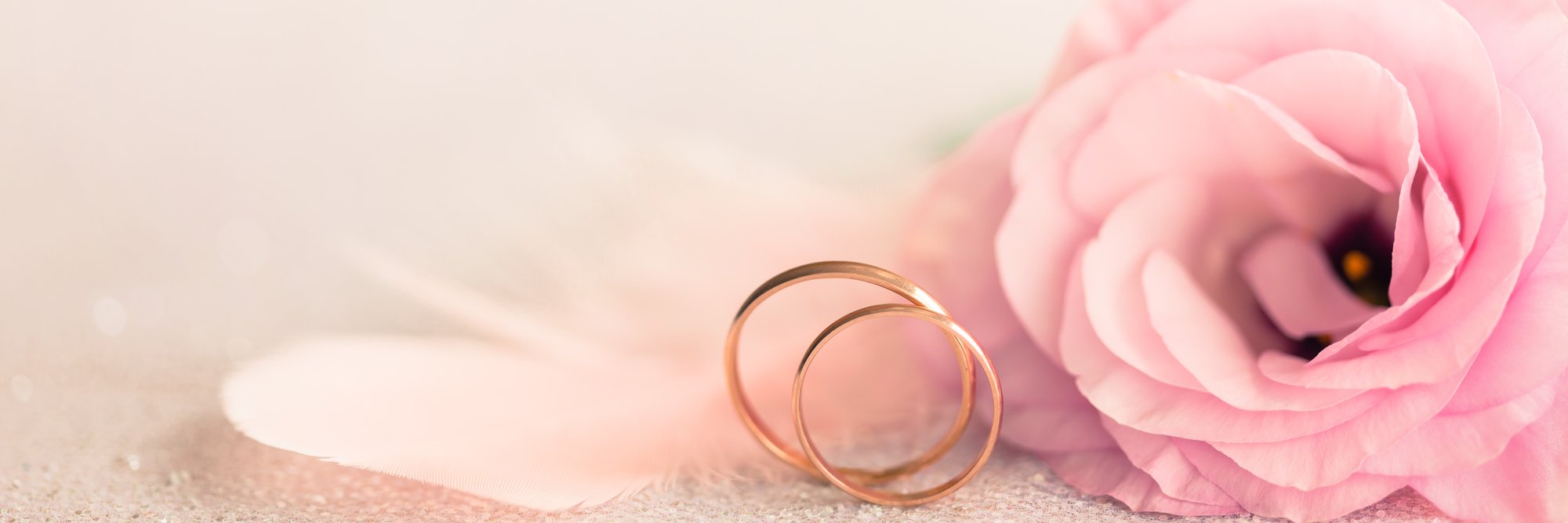 To Have&To Hold Scot banner