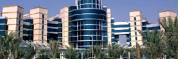 Business Link UAE. Profile Banner