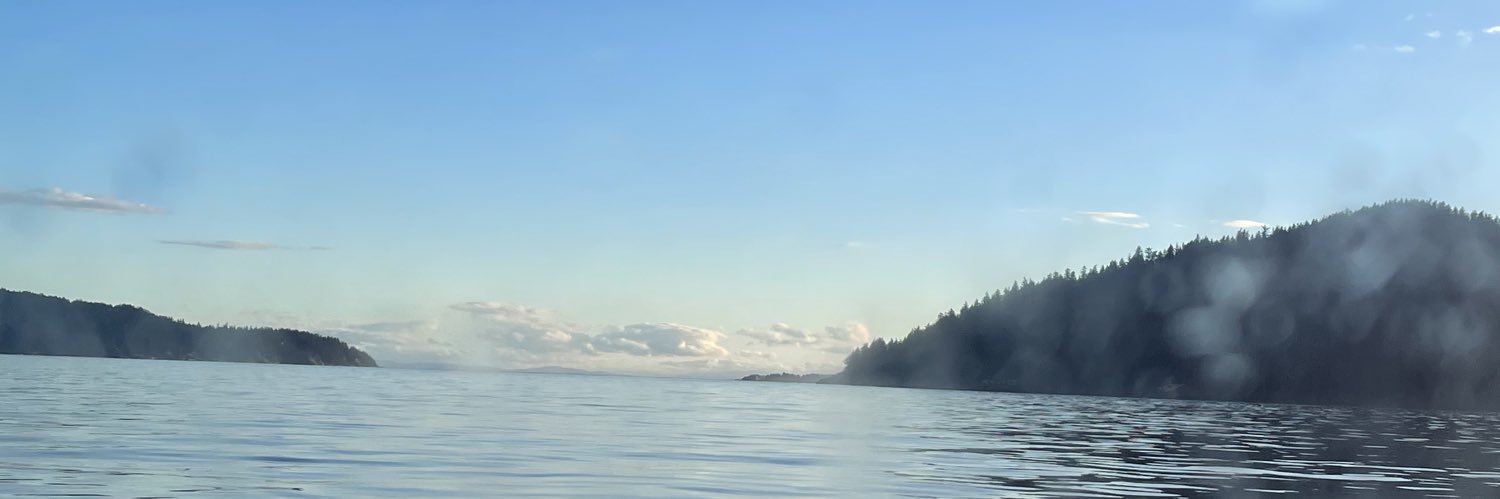 shaushau's profile banner image