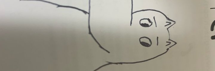 zimoom's profile banner image