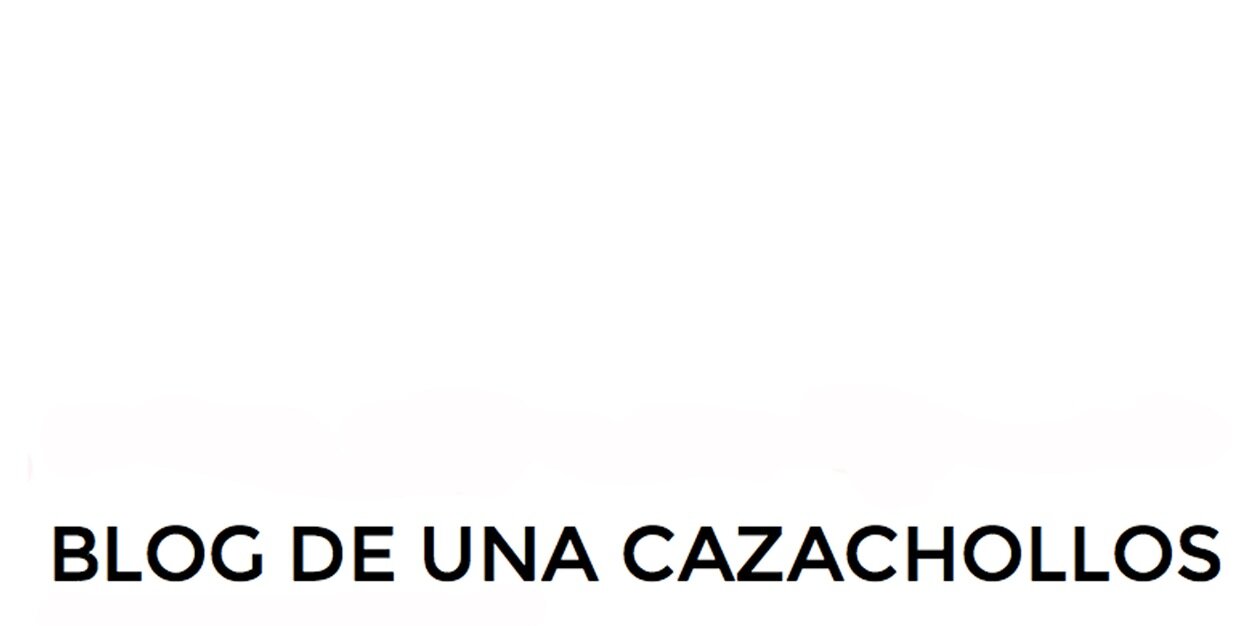 Blogcazachollos's profile banner image