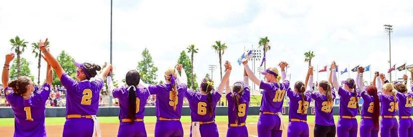 Hannah Carson banner