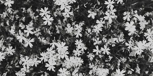 aimfarahin__'s profile banner image