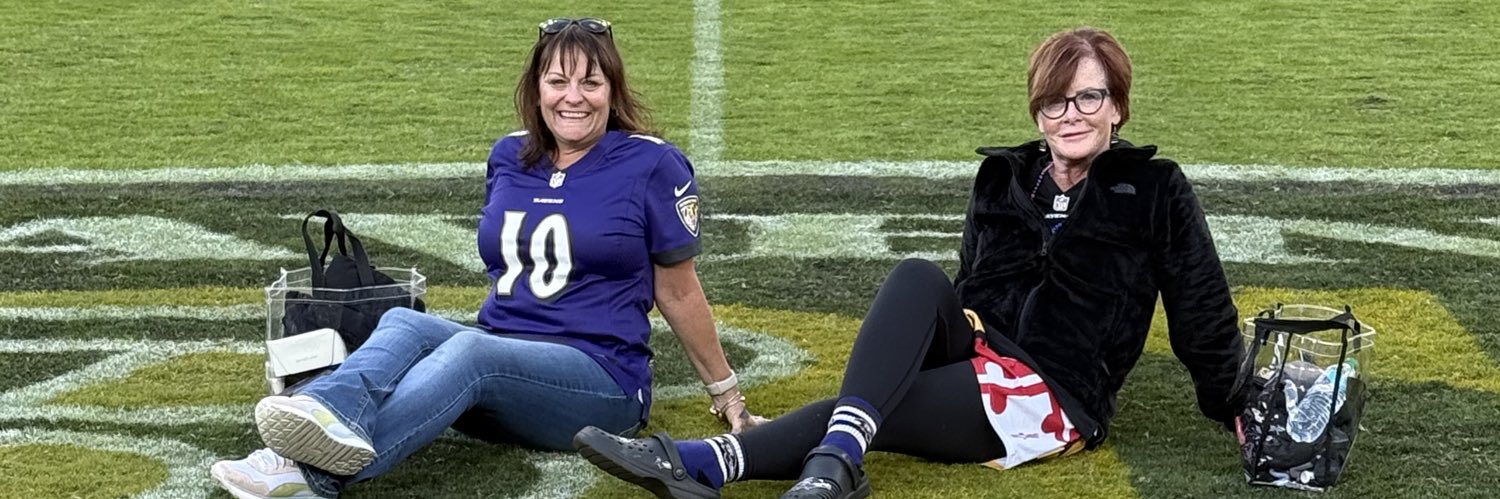 BabyRavens's profile banner image