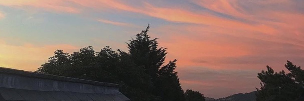 hanrosegal's profile banner image