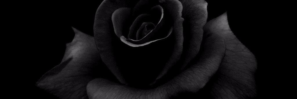 ObserverWithout banner