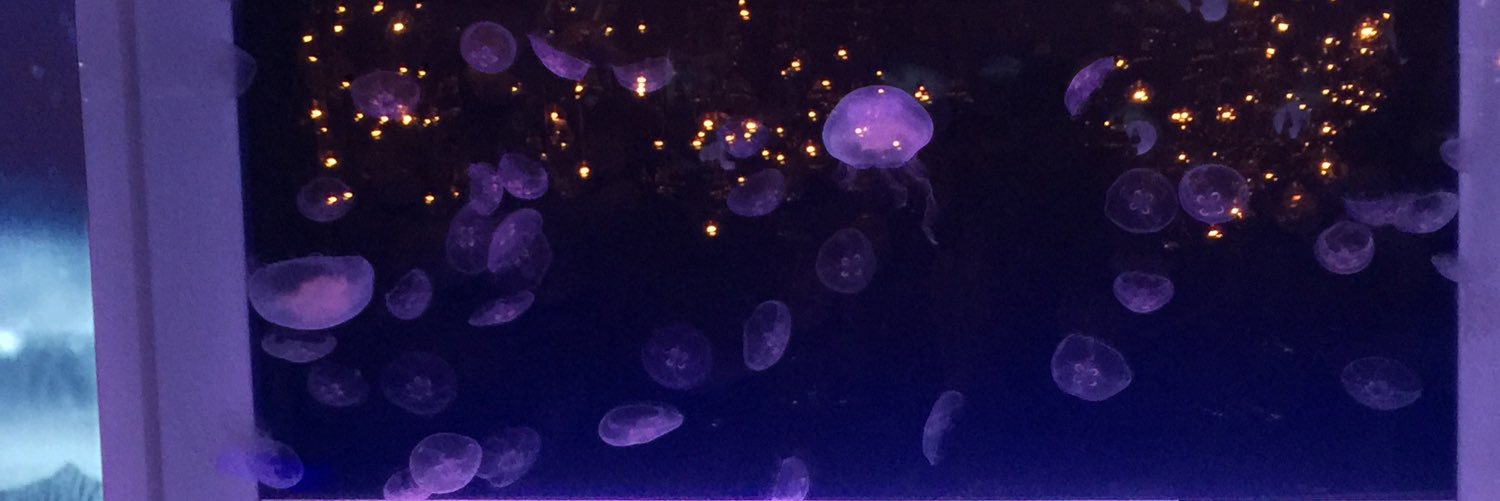 orihorum_6's profile banner image