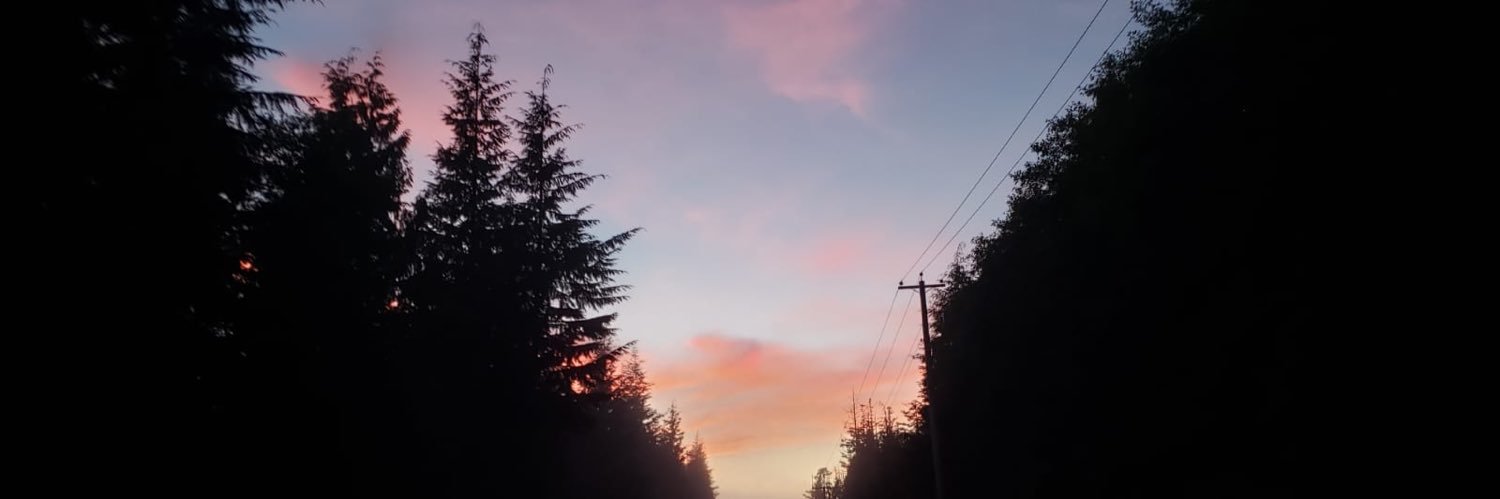SarahAlamin1's profile banner image