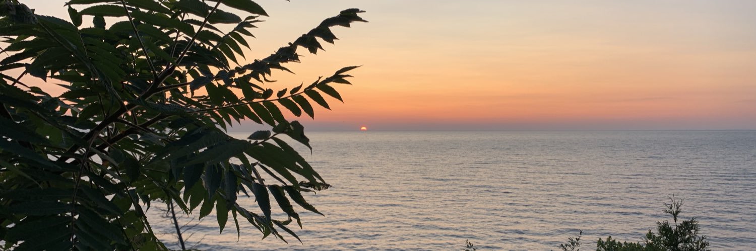 abbielomahan's profile banner image