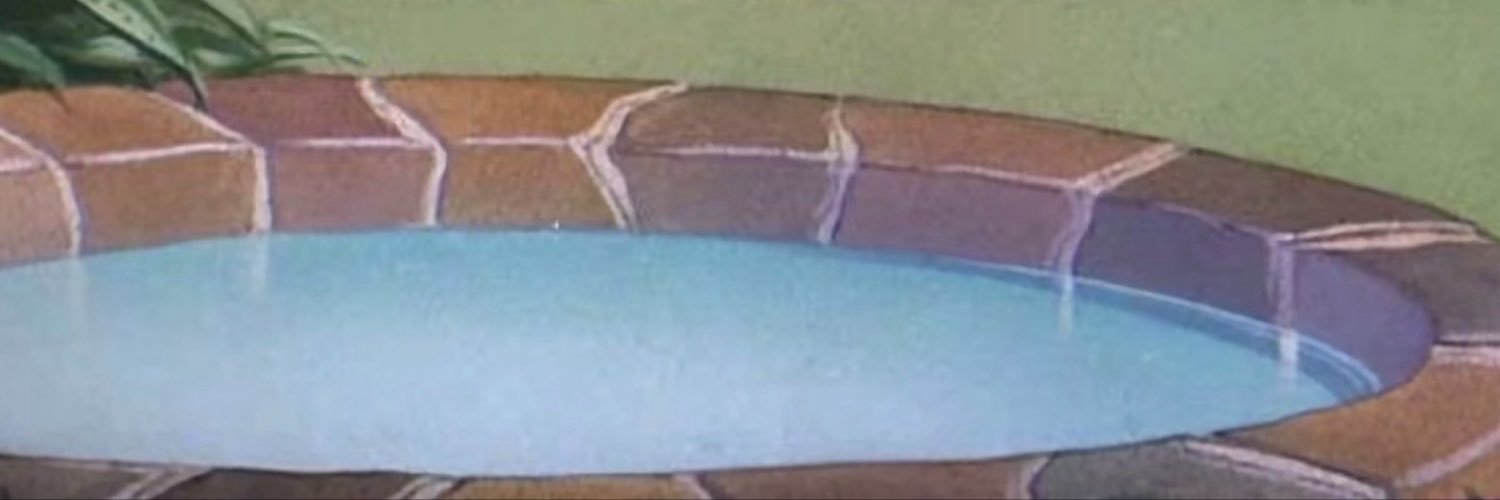 maenoomeri's profile banner image