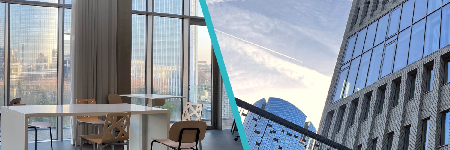 Devinci Executive Education banner