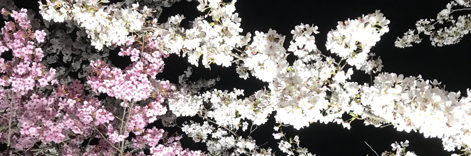 daisukedada1117's profile banner image