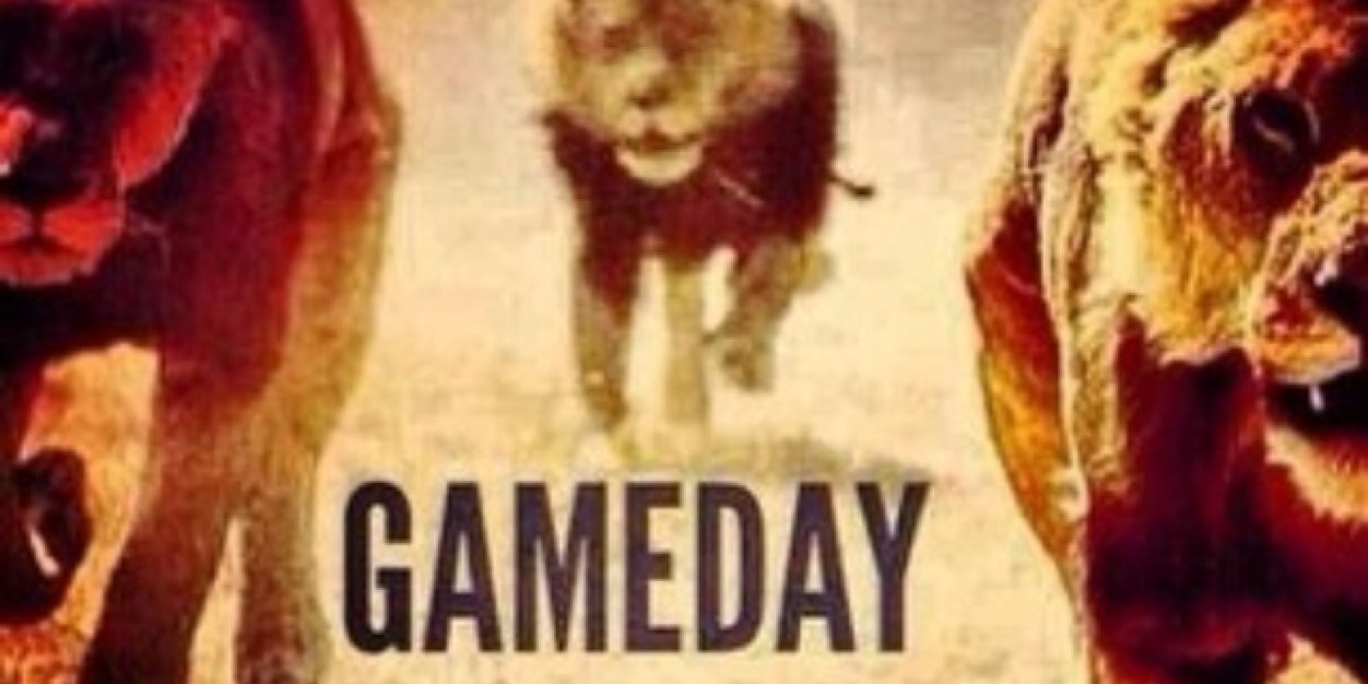 Hamburg  Baseball banner