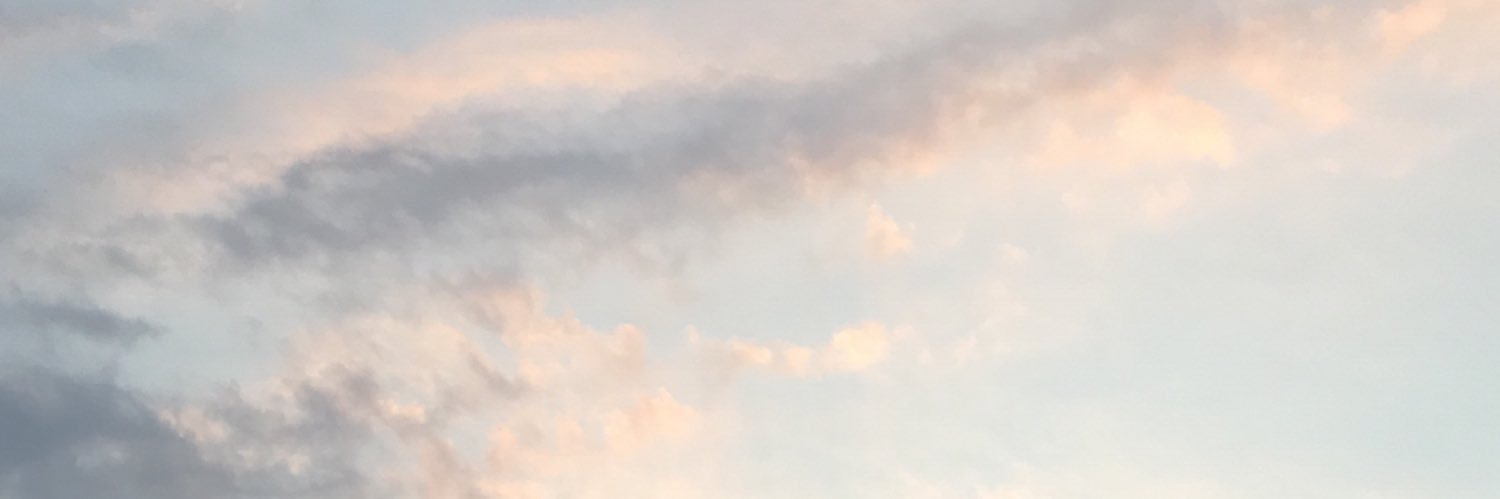 mtiarara's profile banner image