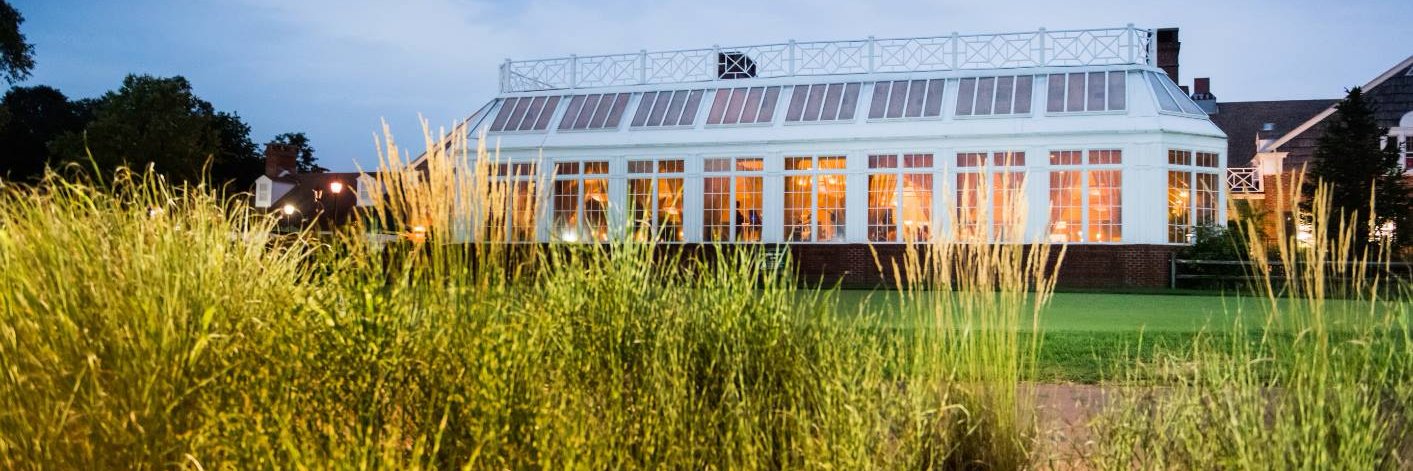 Lessing's Weddings banner