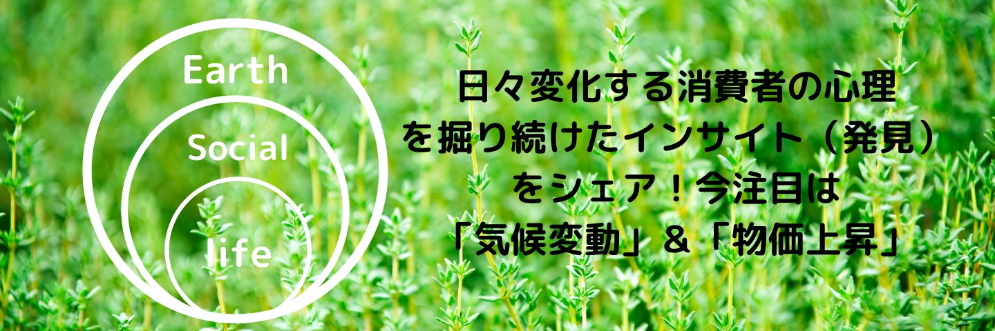 Wengerista's profile banner image