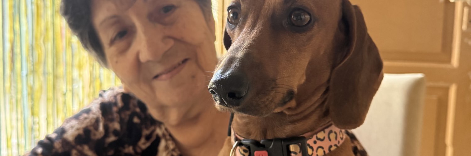 sofimirendak's profile banner image