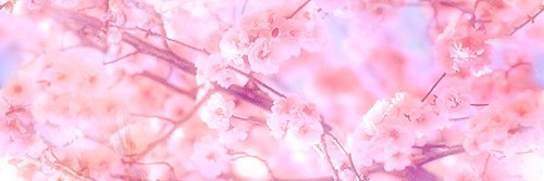 Hoshidoru's profile banner image