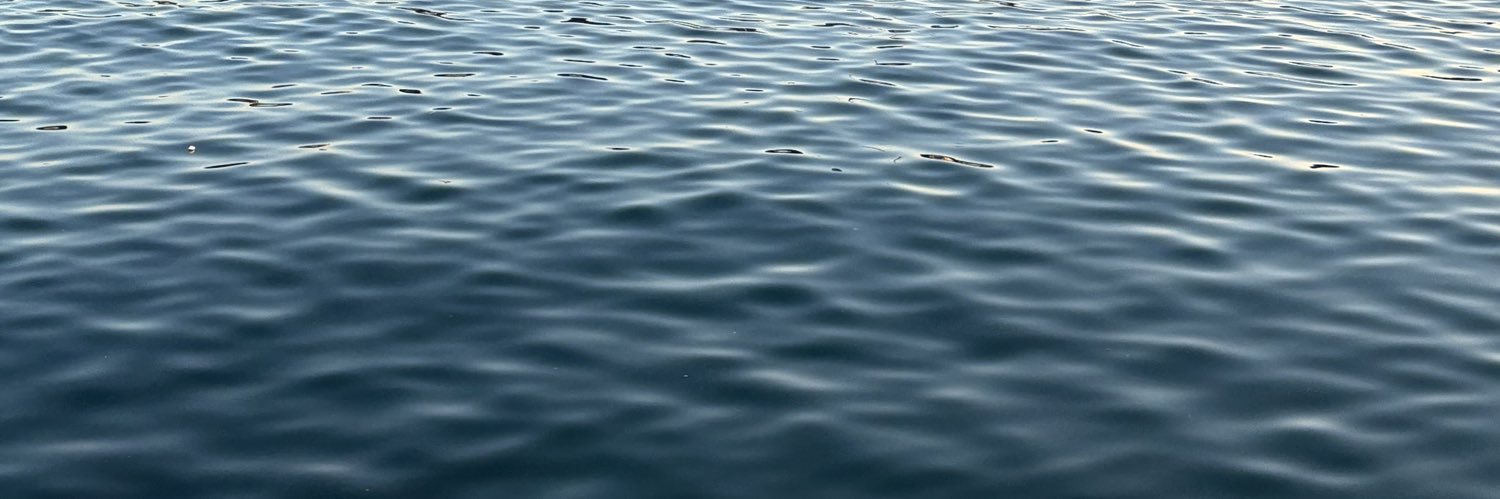 pasiflaura's profile banner image