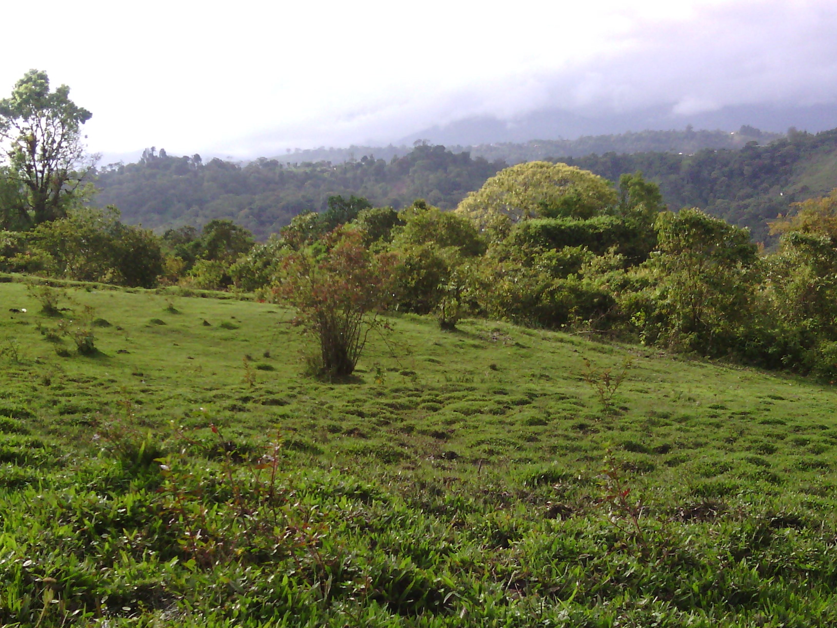 BernardoBasMe's profile banner image