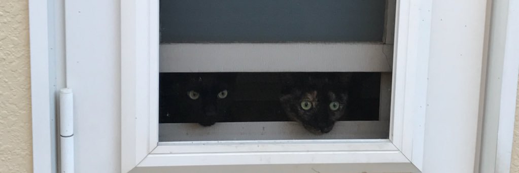 ピーナ☺︎ banner