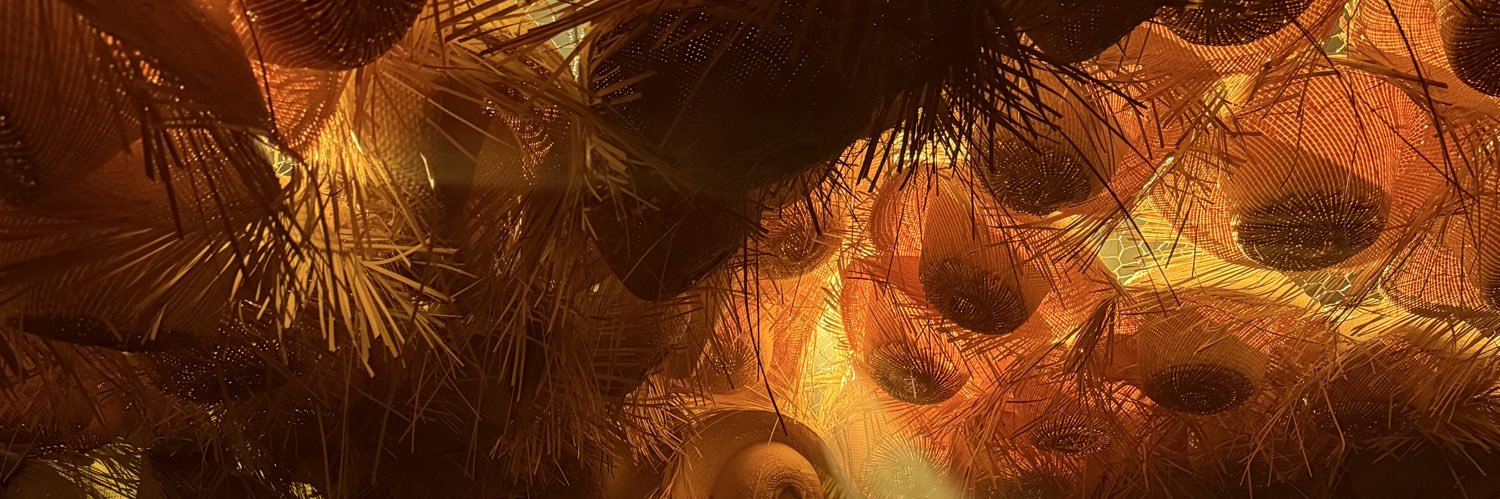 alejandrofj10's profile banner image