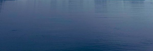 zeitms Profile Banner