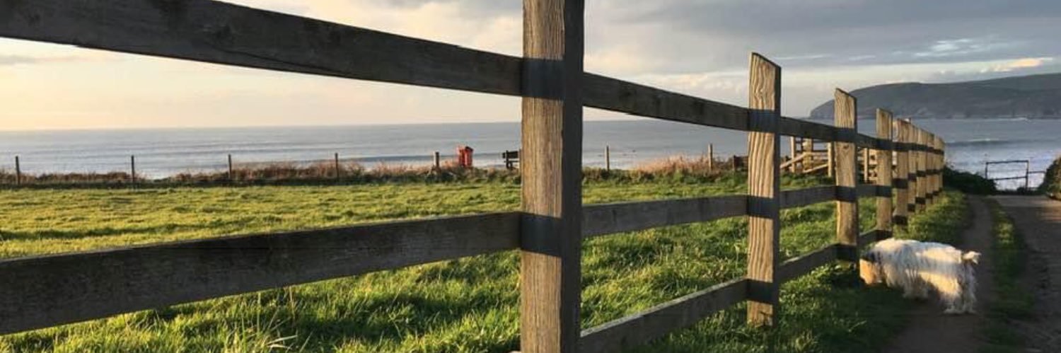 BrauntonBoy's profile banner image