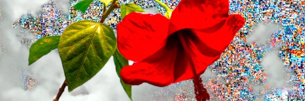 WillCreatesArt Profile Banner