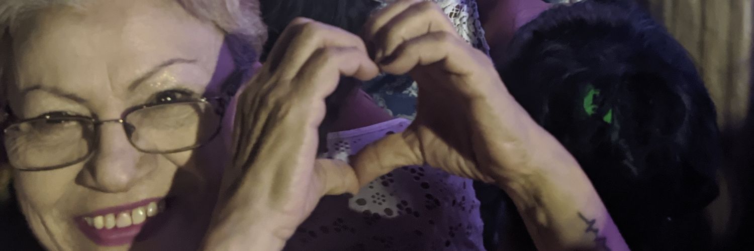 viniciuslnunes's profile banner image