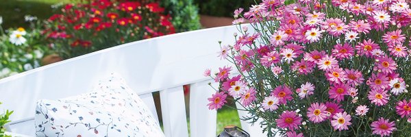 UnwinsSeeds Profile Banner