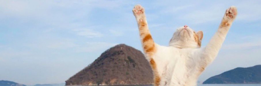 pakuoo's profile banner image