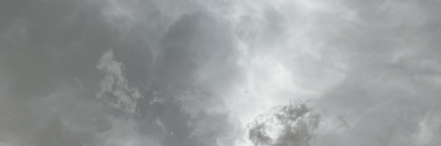 Silver00C's profile banner image