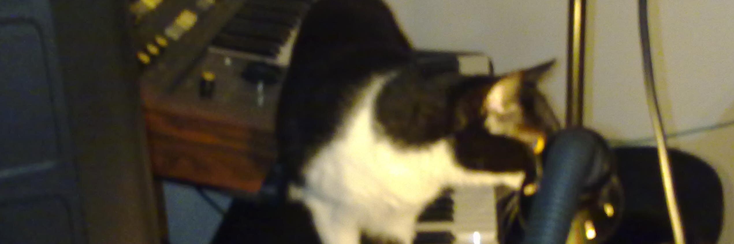 isolaldo's profile banner image