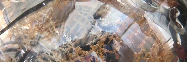 WeidenkaffLabs Profile Banner