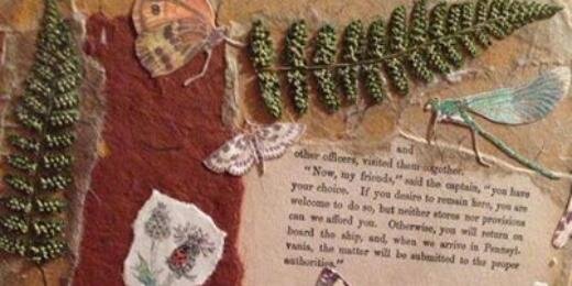 Enter the Wildwoods banner