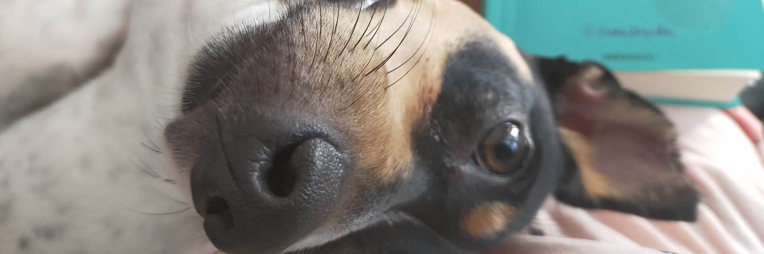 VeronicaRoGa's profile banner image
