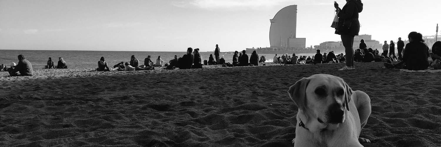 oscarpierremi's profile banner image