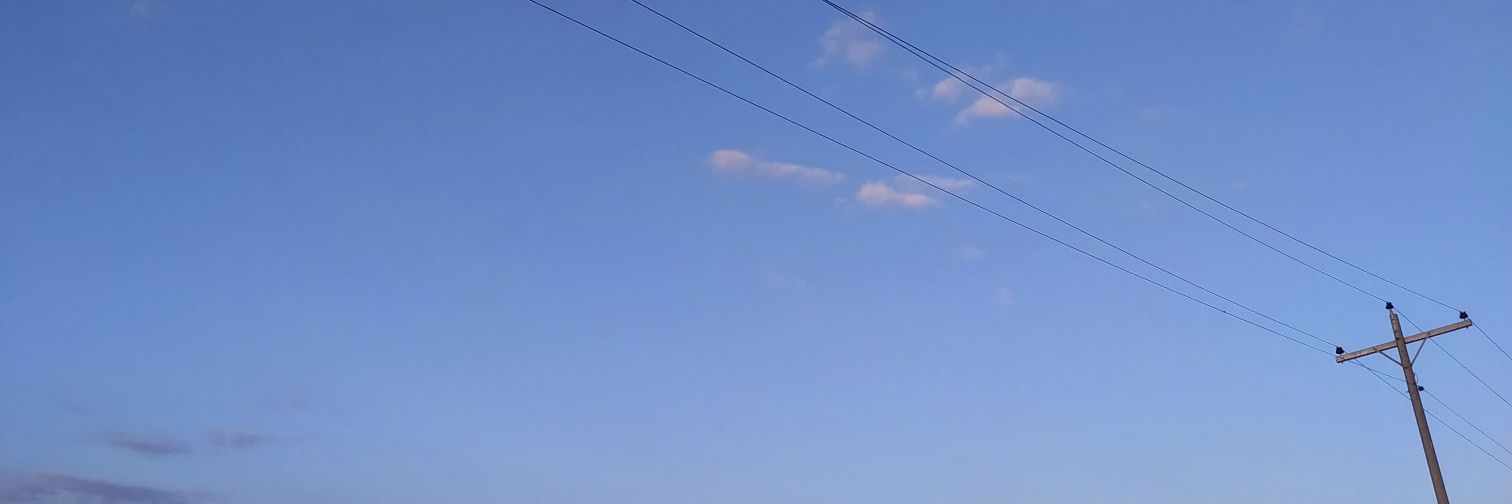 trnxdgm's profile banner image